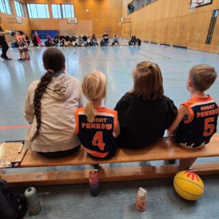 Ich (Juno. Spielerin/WU14), habe diese Woche ein Praktikum bei Einheit Pankow gemacht.
Am Ende meines Praktikums, durfte ich das Spiel von der U8 Coachen.
Ich fand die Kids auf ieden Fall gut: offensiv aber auch defensiv. Irgendwann haben sie dann auch die Sachen umgesetzt, die sie verbessern sollten.
Auch das U laufen, was wir im Training geübt haben (beim Einwurf), hat schon ganz gut geklappt. Und ich denke, Spaß hat es nicht nur mir gemacht. Energie war jedenfalls da. Ich habe vorher nicht gewusst, dass jemand mit so viel Schwung abklatschen kann. Danke an Peti und an alle anderen Coaches, bei denen ich diese Woche weiter lernen durfte. PS: falls jemand noch ein Assistent Coach sucht, ich stehe noch zur Verfügung 😉